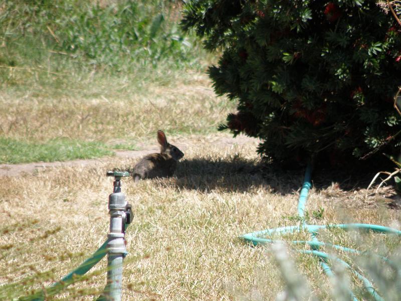 P6282137 Sierra Azul.jpg